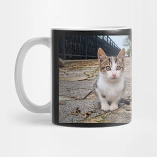 Little Cute Kitty Cat Mug